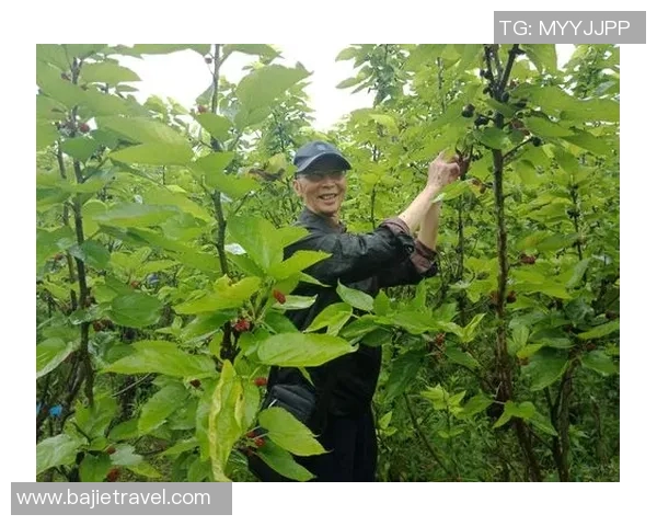 王芳的滑板人生:在深度对话中探寻梦想与坚持的力量 王芳的滑板人生:在深度对话中探寻梦想与坚持的力量