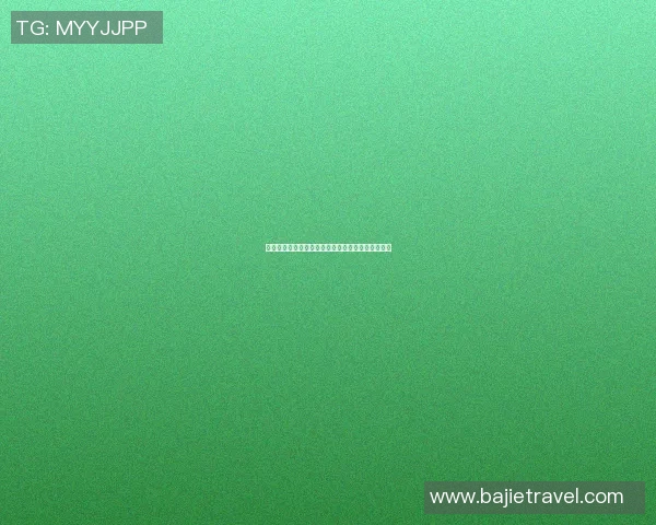 塞尔塔与曼联角球数据分析揭示比赛战术与球队优势