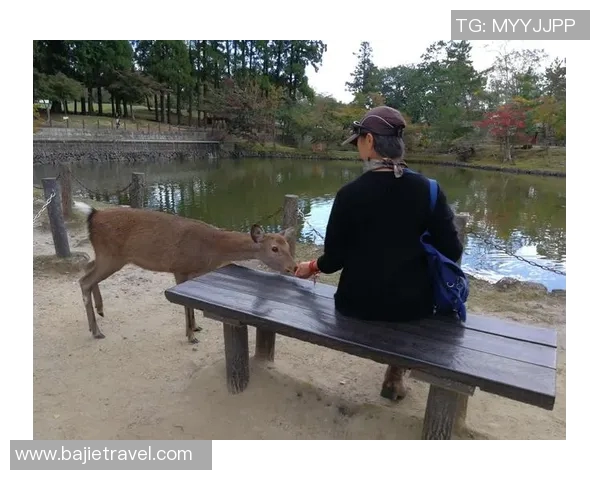 奈良俱乐部与FC本田的激烈对决揭示了日本足球的魅力与竞争力