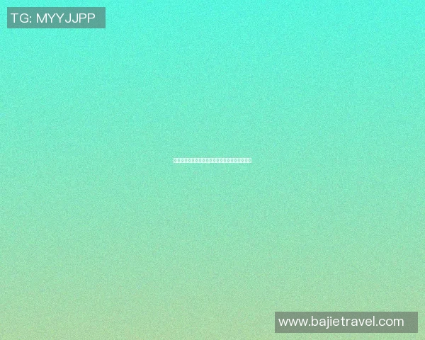 京多安领衔球队新篇章展望未来赛季的挑战与机遇